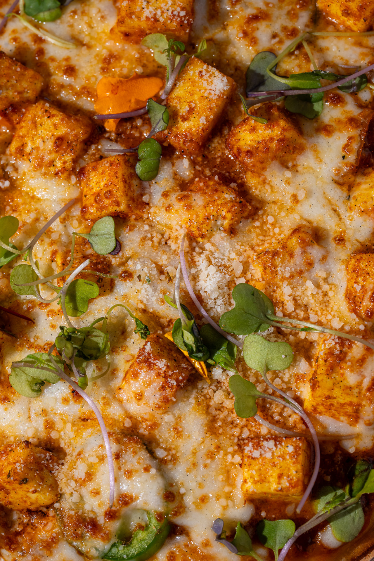 Paneer Naughty Naan, macro on paneer, cheese and micro greens